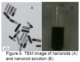 Image_nanorods_structure